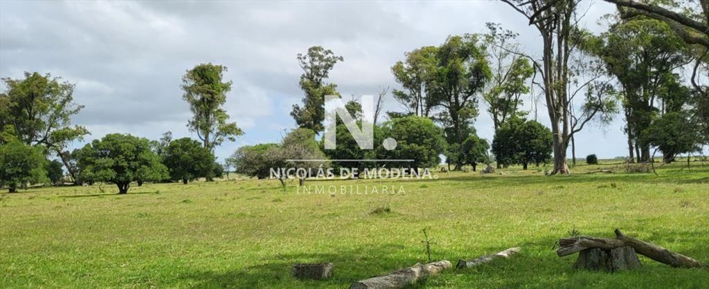 En venta campo en Treinta y Tres, ubicado a 12 de