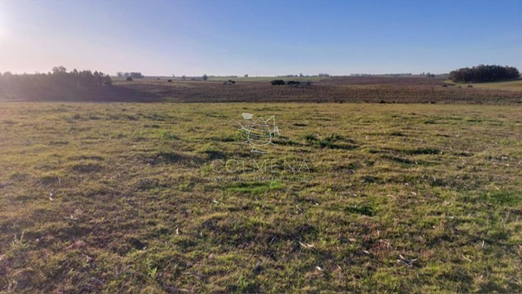 Campo 5 has cerca de la  R 104 y entre camino