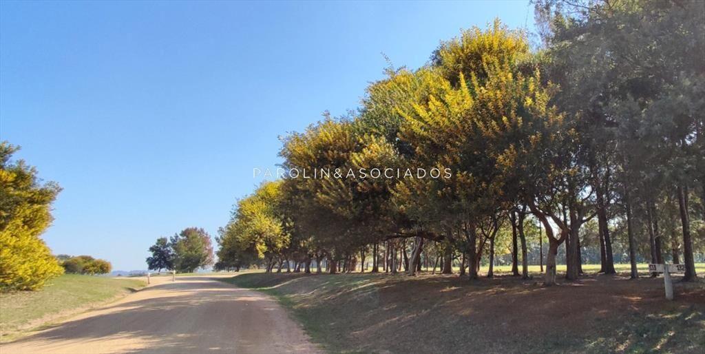 Hermoso lote en venta en El Quijote, Punta del