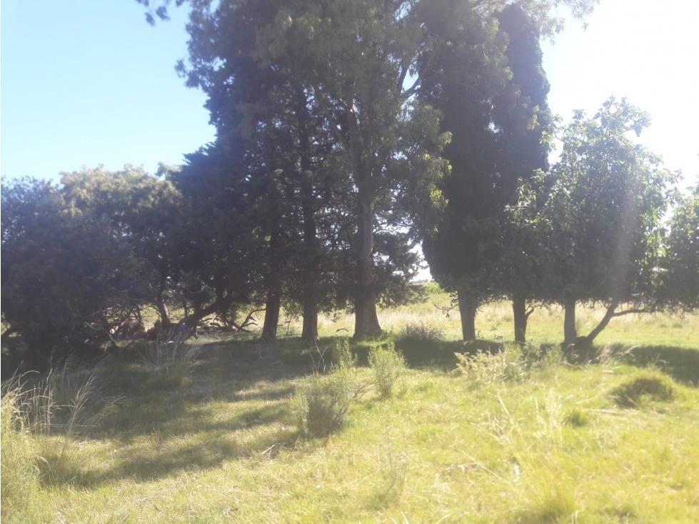 AL1086/P venta campo 53 hectareas en Estacion Solis Minas La