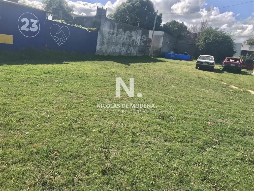 San Carlos, Terreno
