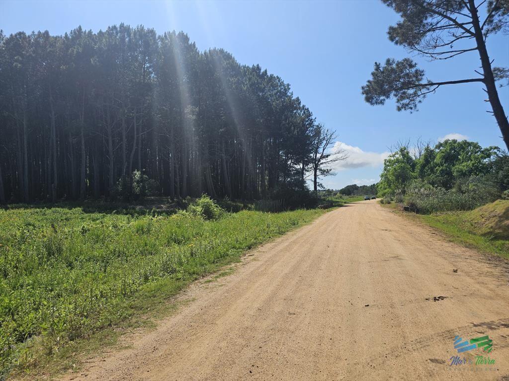 Venta de terreno de 4.000 m2 en las Silvias Punta