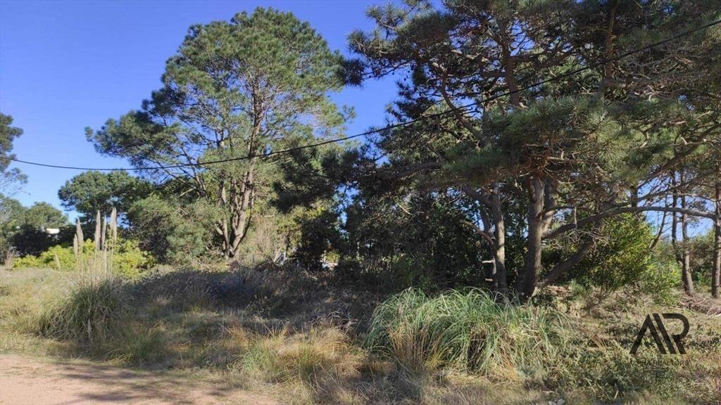 Terreno en venta de 592m2 ubicado en Punta del Diablo