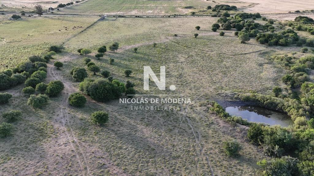 OPORTUNIDAD VENTA DE CHACRA 18 HAS 795 M2 ZONA DE