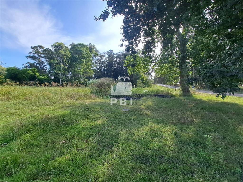 Oportunidad! terreno con alto potencial en venta