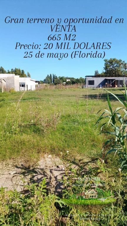 VENTA de gran terreno en 25 de mayo