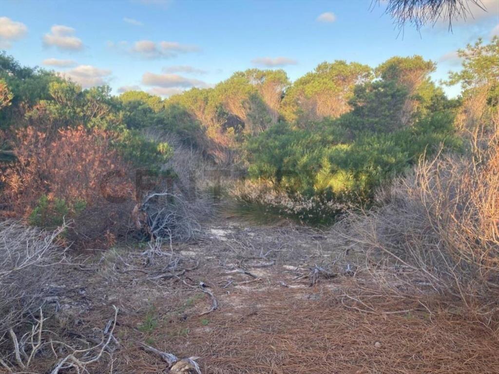VENTA 4 TERRENOS LA ESMERALDA