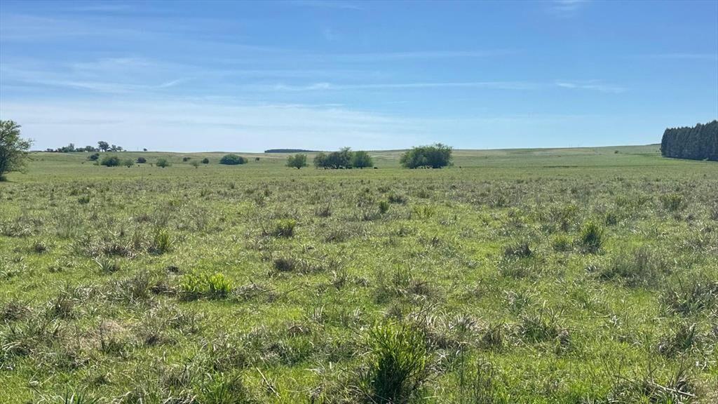 VENTA DE CAMPO GANADERO – 694 HAS. EN RIO NEGRO