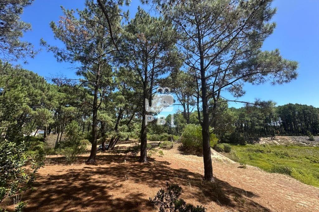 Terreno en venta en Club del Lago, Punta Ballena.