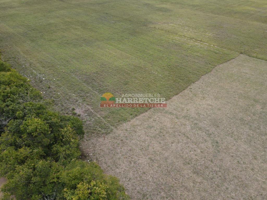 Terreno en Progreso, 360 m2 en Jardín de los (8)