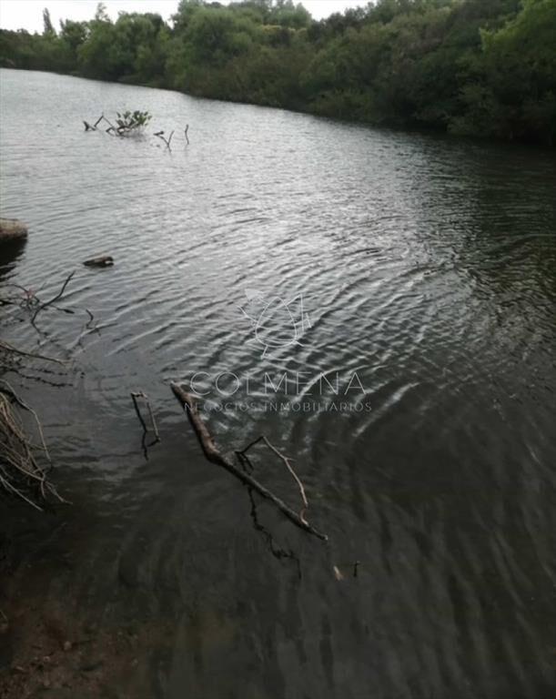 Campo en Zanja Chavez con costa de arroyo, caña