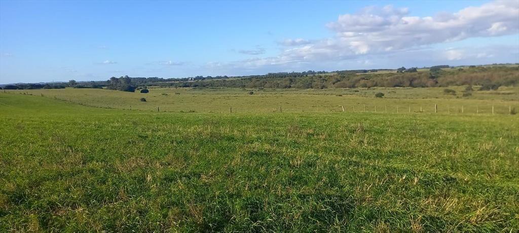 Campo en Rocha