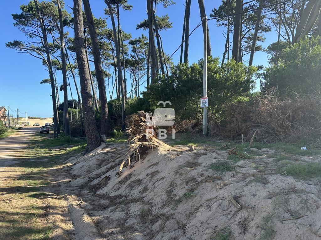 Venta de excelente terreno en Punta Ballena - Ref : PBI145