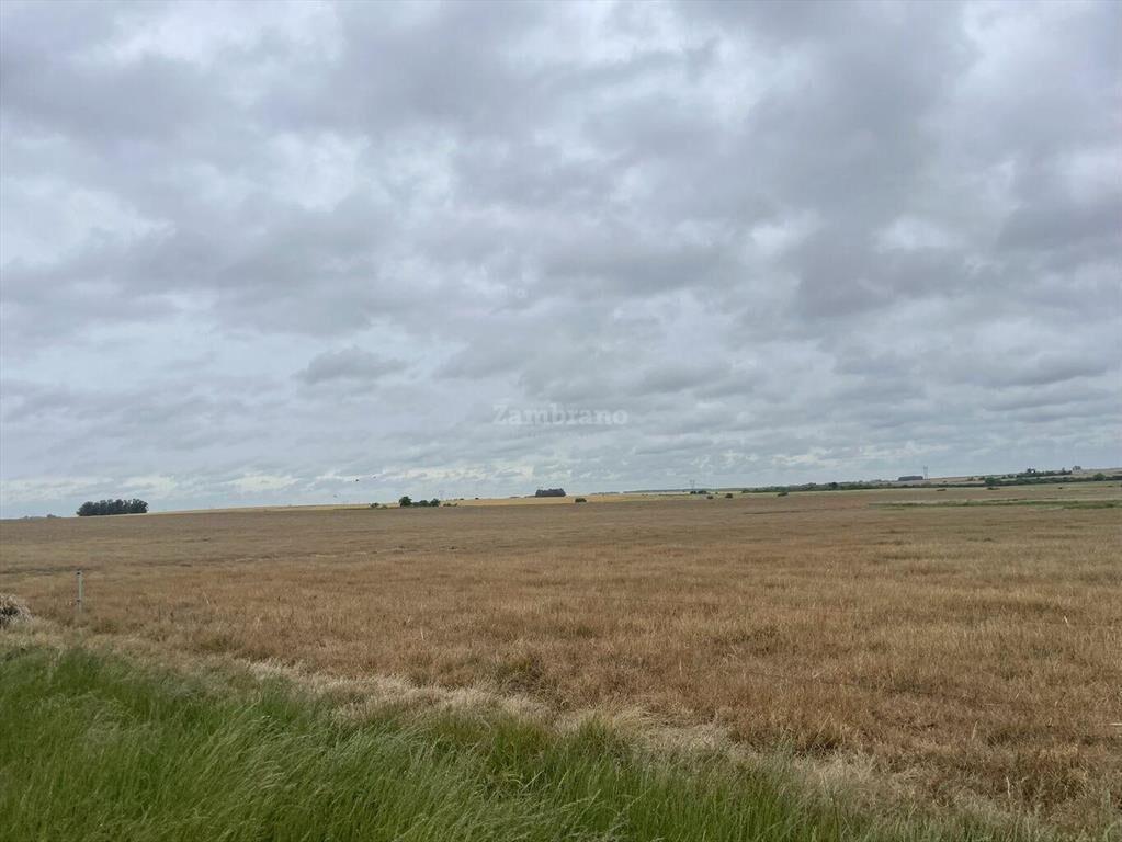 Estancia Agrícola Ganadera en Flores
