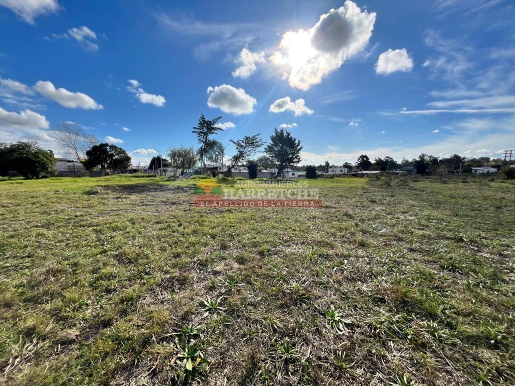 Terreno en Jardín de los Manzanos, Progreso, 690