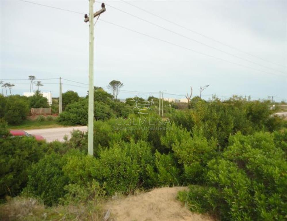 Terreno en Punta Ballena, Chihuahua