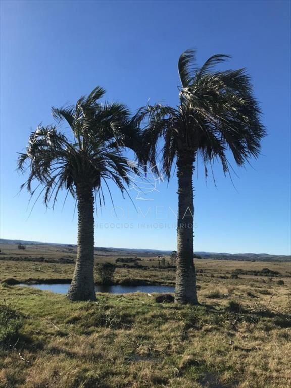 Campo 185 has - Paraje Paso de Dutra