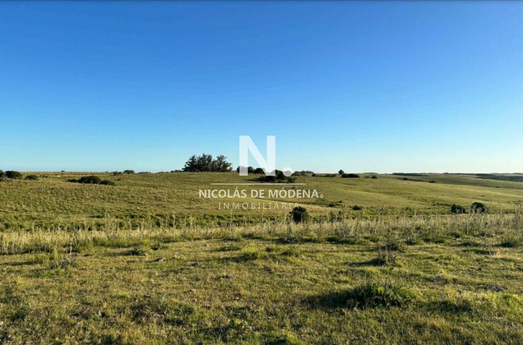 Vende campo de 42 has, en Maldonado Garzon.