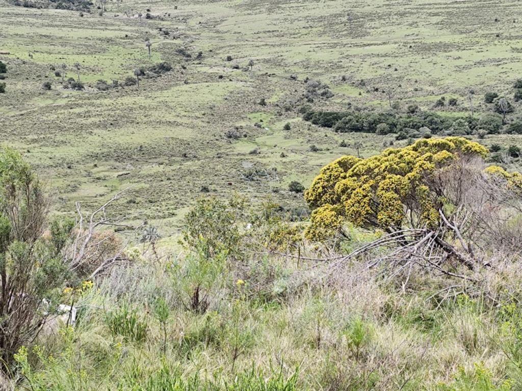 Campo de 200 hás en el departamento de Maldonado