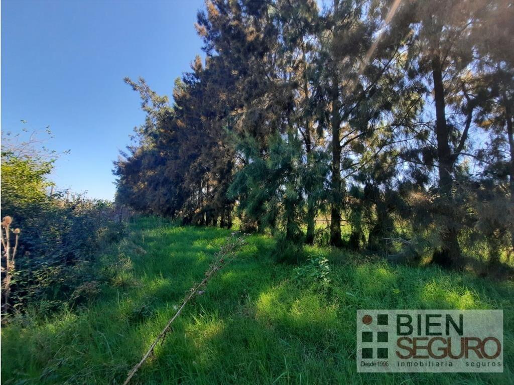 Muy linda chacra de 5,5 hás en venta Próximo a Osvaldo Rodr