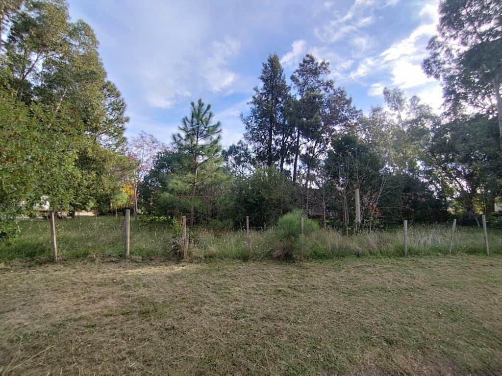 Terreno en Los Pinos