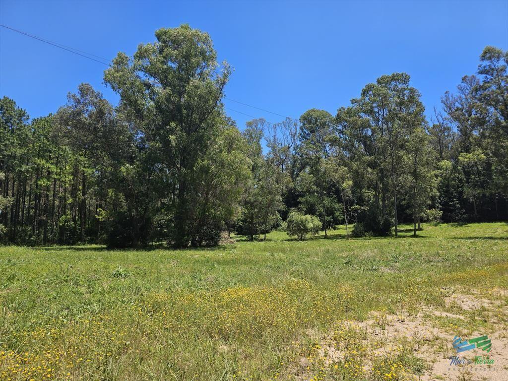 Vendo terreno de 1 hectárea tipo chacra en Laguna del Diar