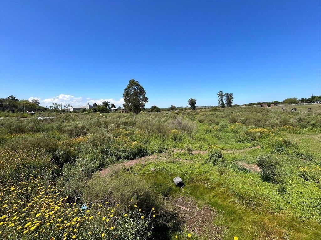VENTA DE TERRENO SAN CARLOS MALDONADO