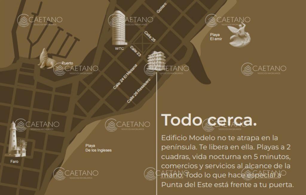 PROYECTO MODELO, nuevo lanzamiento en Punta del
