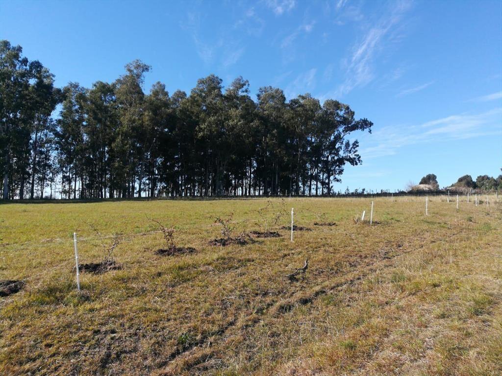 Terreno en Colonia del Sacramento