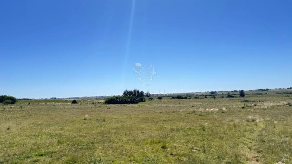 Se venden 2 chacras a 15 km de San Carlos