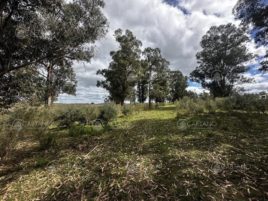Venta chacra km 116 ruta 9. Cerca de Pan de