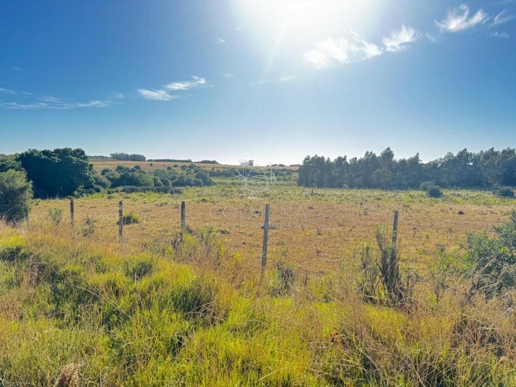 Campo de 48 has con 5545 m2 en Medellin muy cerca
