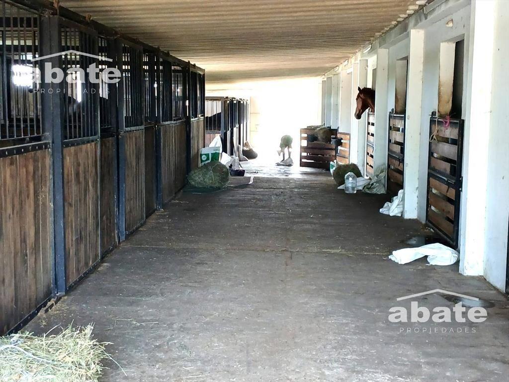 Venta de Chacra en Est. Atlántida a metros de Ruta 11