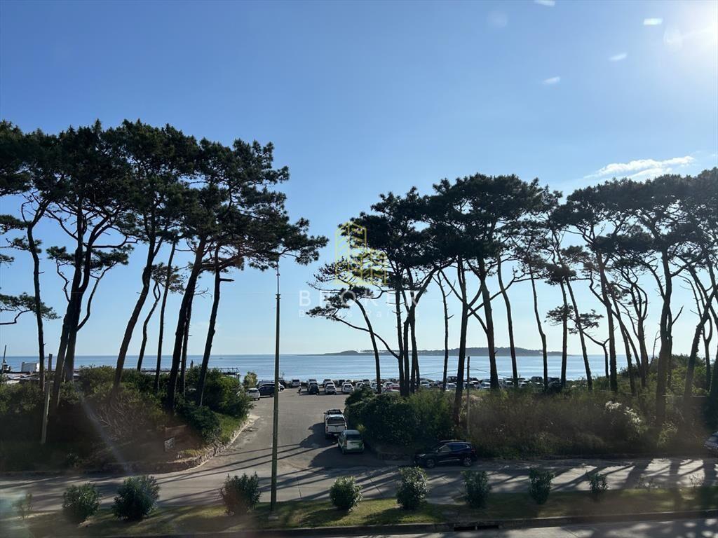 Venta de apartamento primera linea en playa Punta