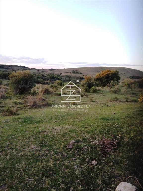 Campo Cerro Aspero Rocha