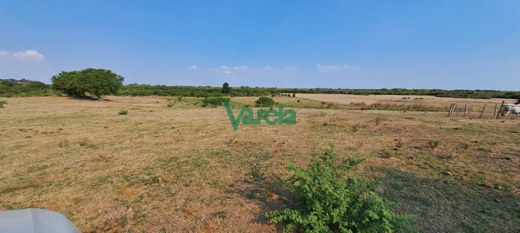 Venta de Campo, Paso del Sordo, Florida, campo de