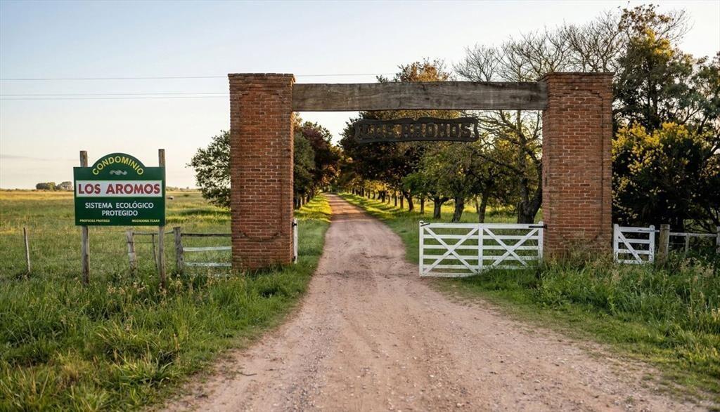Terreno de Una Hectárea en El Ensueño - Los Aromos
