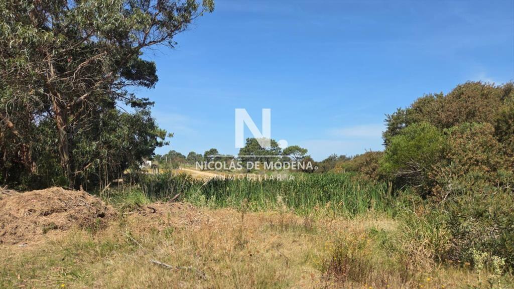Vende terreno de 4223 m2 en Jose Ignacio