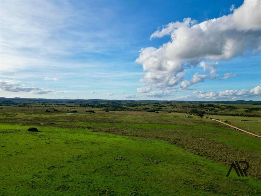 Chacras de 3ha/60 ha en Garzón, con caminería y luz en l...