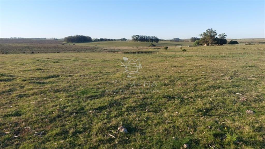 Campo 5 has cerca de la  R 104 y entre camino