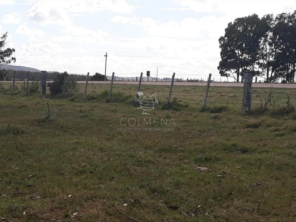 Campo 18 has en las Cañas - Consulte!!!!!!