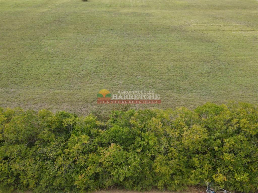 Terreno en Progreso, 360 m2 en Jardín de los (5)