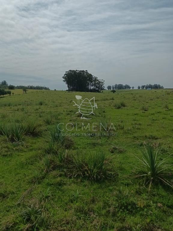 Campo en paraje Jose Ignacio cerca de la ruta 9