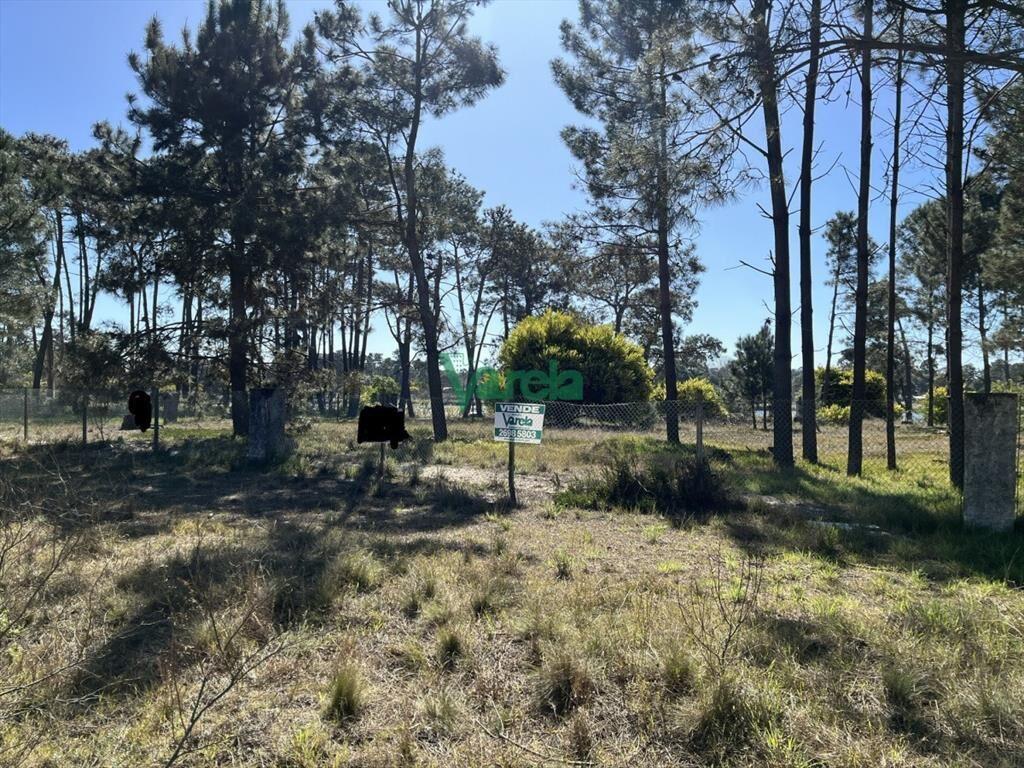 Terreno de 5608 m2 Pinar Sur , en venta .