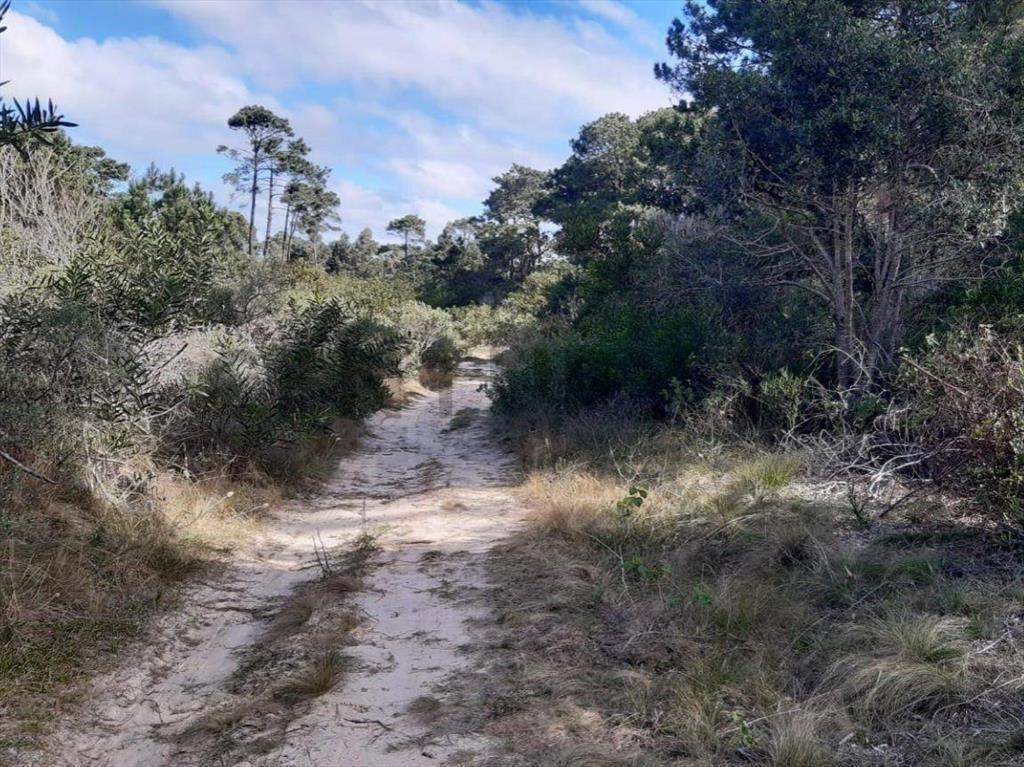 VENTA TERRENO ESQUINA en LA SERENA, La Paloma, ROCHA