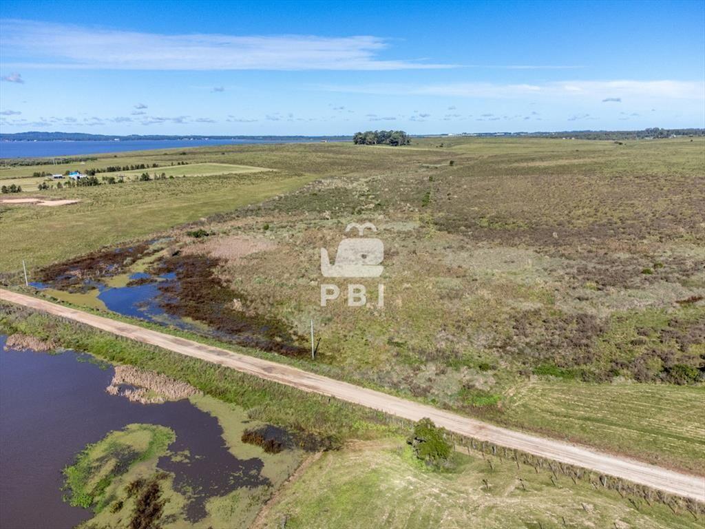 Chacra en venta en Laguna del Sauce, Punta  - Ref
