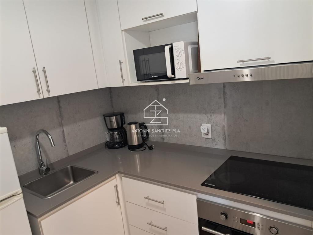 APARTAMENTO EN ALQUILER EN PENINSULA