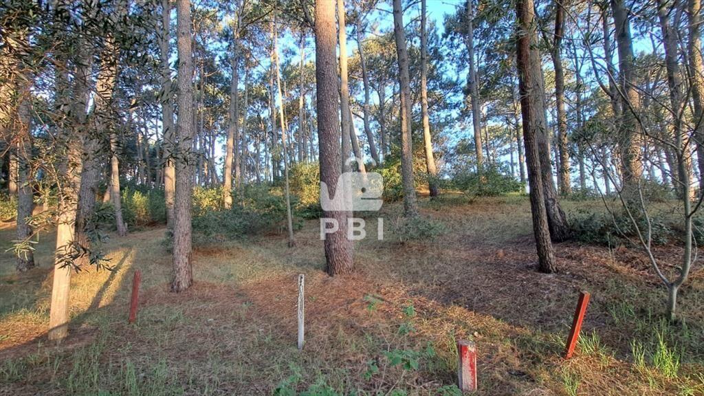Venta de lote en Club del Lago - Ref : PBI2841
