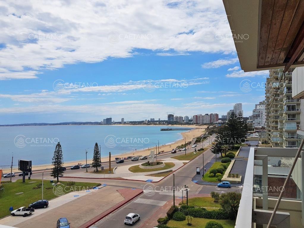 Hermoso y amplio apartamento con vista!