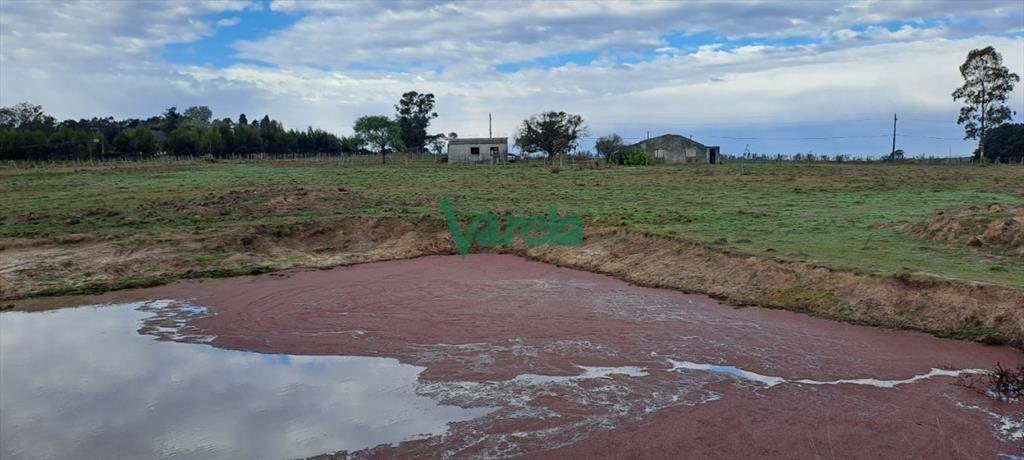 Venta de Chacra, Ruta 11, km.152, de 3,5 has. a